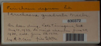 Image Associated With the Occurence
